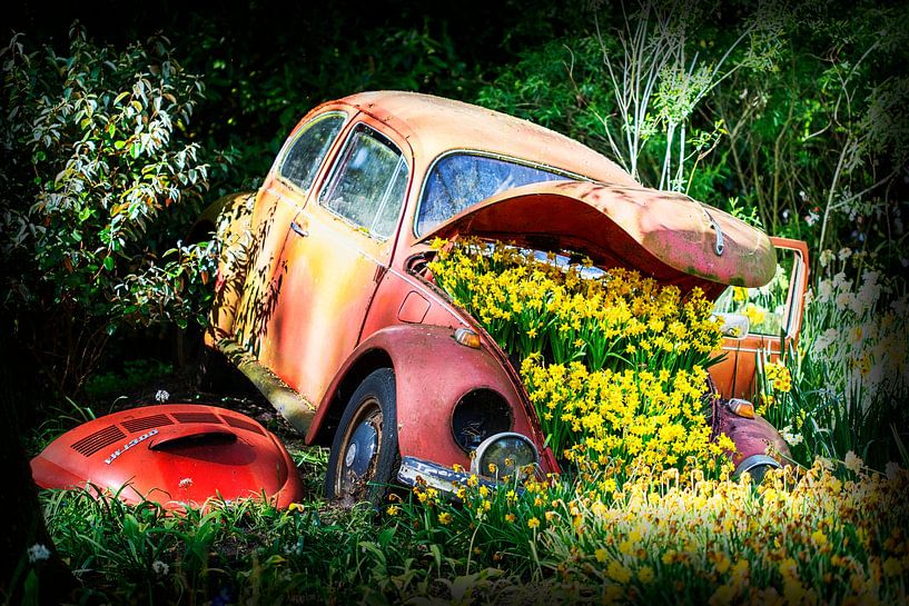 Beetle - Volkswagen - wie er einmal war ! von Marly De Kok