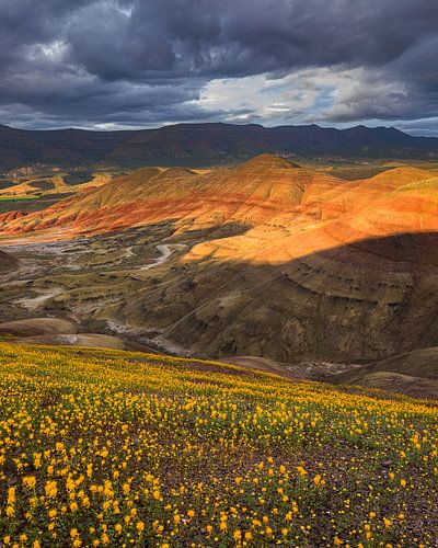 Zonsondergang bij de Painted Hills