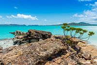 Whitehaven strand op de Whitsundays in Australië