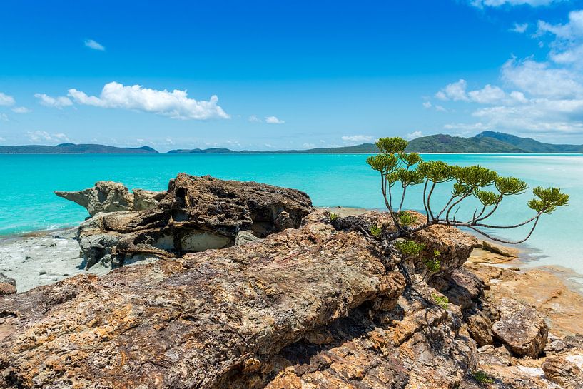 Whitehaven Strand auf den Whitsundays in Australien von Troy Wegman