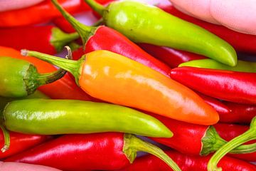 Hete rode, oranje en groene chili pepers voor gekruid eten