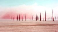 Eine Vision von Burning Man