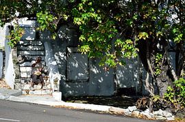 Arbeiten an den Stufen von Frank's Awesome Travels