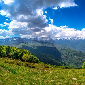 Panorama foto van de groene bergen in de Italiaanse alpen van Björn Jeurgens
