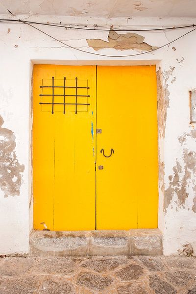 The characteristic doors of Ibiza by Jalisa Oudenaarde