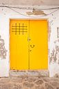 The characteristic doors of Ibiza by Jalisa Oudenaarde thumbnail
