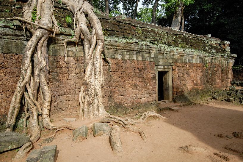 kapokboom op ruine in Angkor Wat van Jan Fritz