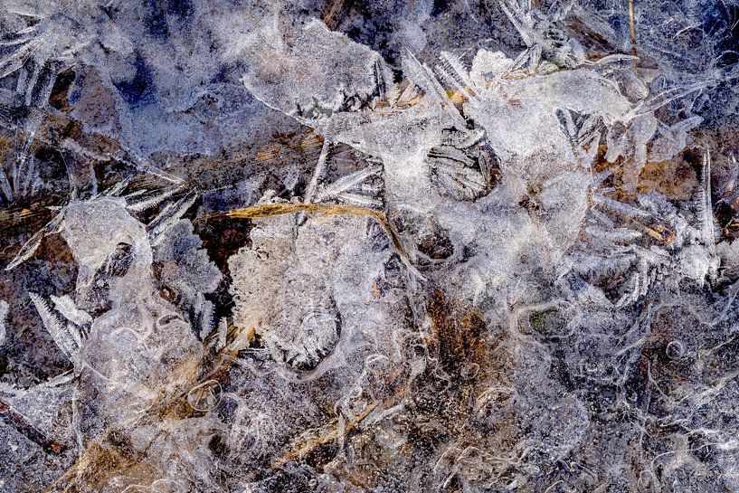 Eisfestival entlang des Flusses von Eugene Winthagen