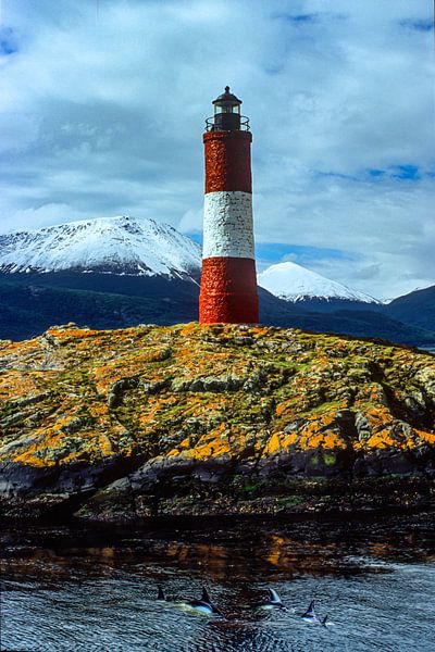 Leuchtturm von Kap Horn mit Delfine von Stefan Havadi-Nagy