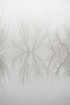 Reflectie in de mist. van Rens Kromhout