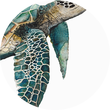 Great Sea Turtle, Jodi Hatfiled  van PI Creative Art