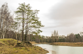 Sturmwetterlandschaft in Dorst, Niederlande.