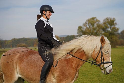 Training met de lichtbruine Haflinger met beige manen