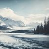 Besneeuwde natuur landschap van Anton de Zeeuw