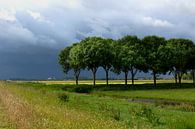 Onweersbui boven de Eempolder in Nederland, landschapsfoto in groene en blauwe tinten van Eyesmile Photography thumbnail