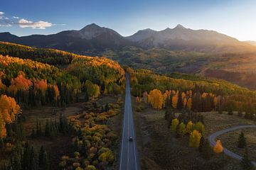 Autumn magnificence II by Martin Podt