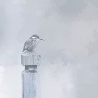 IJsvogel