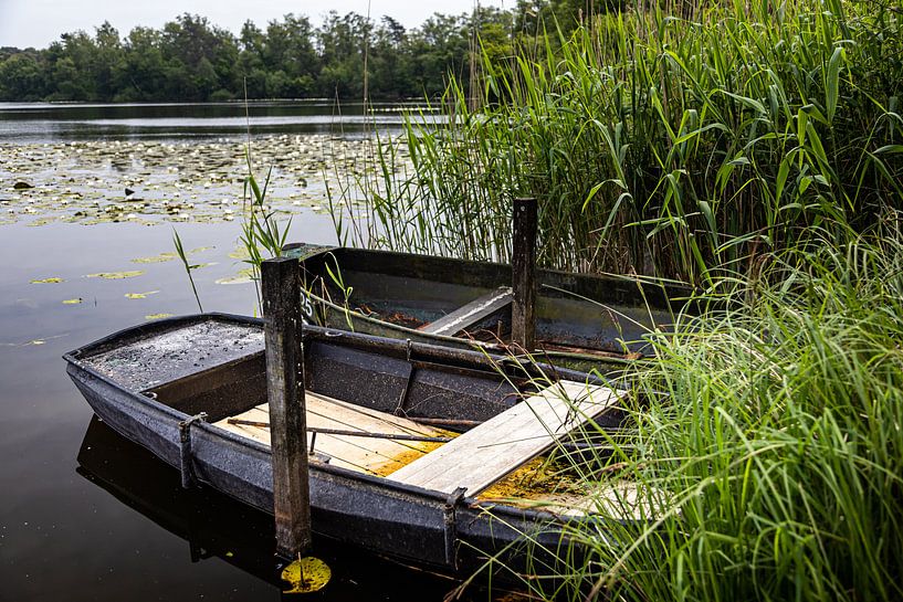 Ruderboote im Schilf Kolkven Oisterwijk von Carin IJpelaar