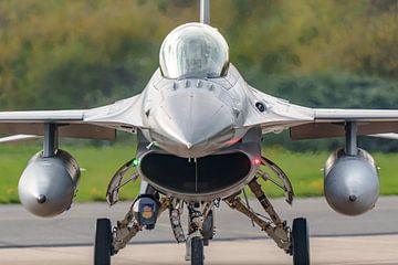 KLu F-16 Fighting Falcon (J-201) der 312 Squadron. von Jaap van den Berg