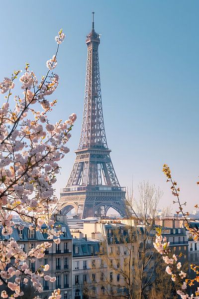 Spring in Paris by Skyfall