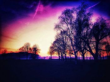 Magische zonsondergang Amelisweerd, Utrecht, Nederland