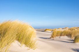Strand auf der Insel Schiermonnikoog im Wattenmeer von Sjoerd van der Wal Fotografie