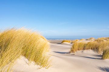 Strand auf der Insel Schiermonnikoog im Wattenmeer von Sjoerd van der Wal