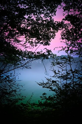 Hübscher nebliger Sonnenuntergang in Plantloon