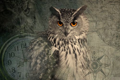Artistic eagle owl