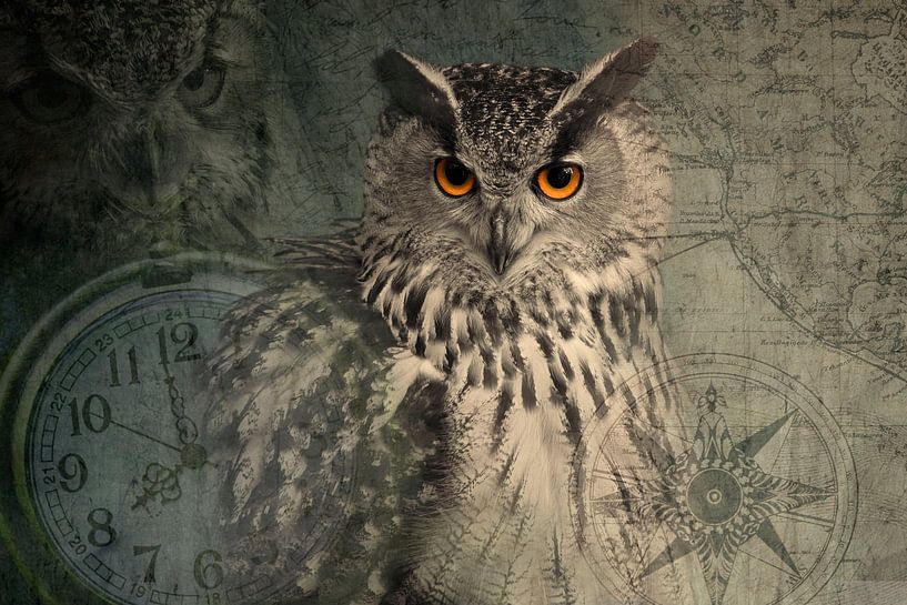 Artistic eagle owl by Michar Peppenster