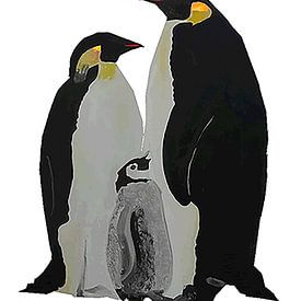 Couple de pingouins avec leur petit sur Andre Wilkens