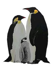 Pinquins echtpaar met jong