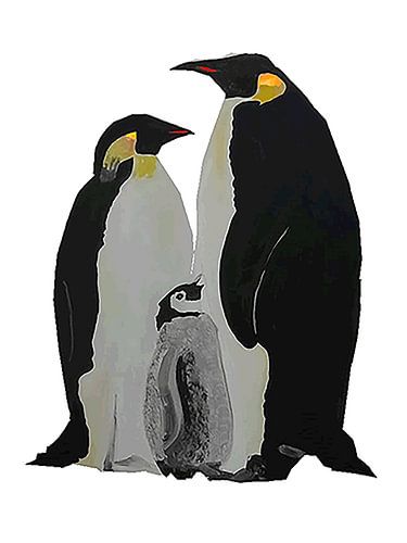 Pinquins echtpaar met jong van Andre Wilkens