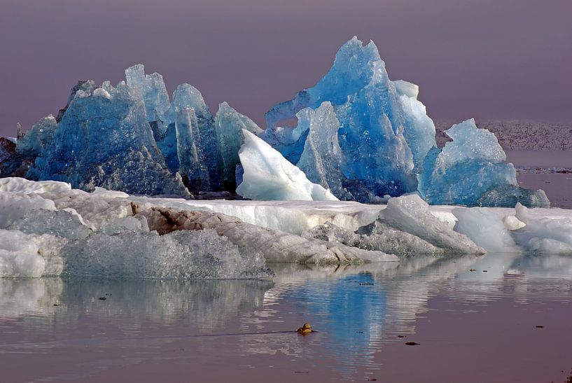 Blue Ice von Reinhard  Pantke