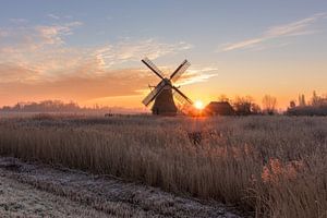 Die Noordermolen in Noorddijk an einem Wintertag