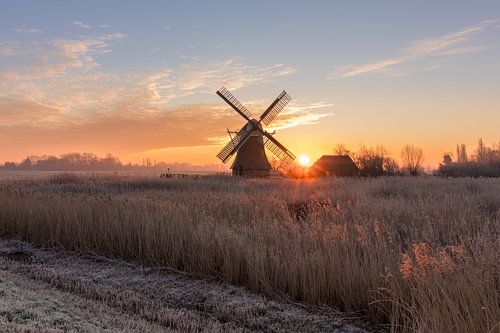 De Noordermolen in Noorddijk op een winterse dag