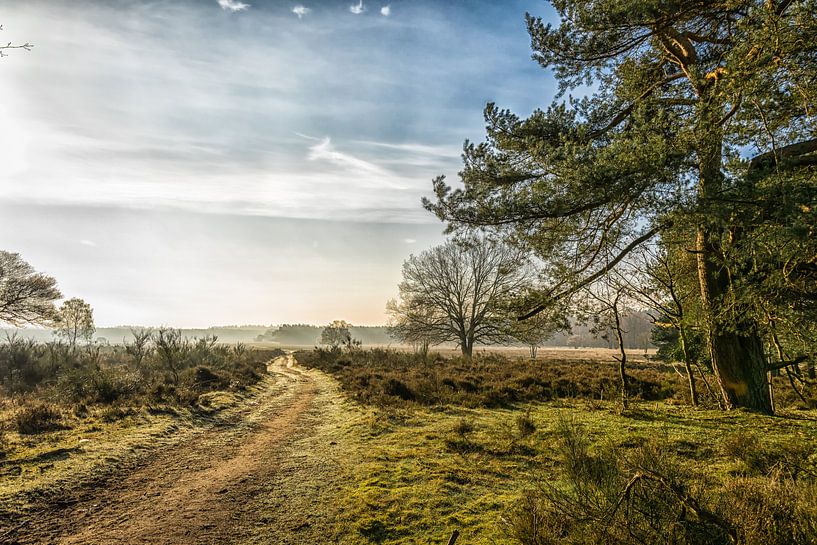Heide bij Crailo par Pascal Raymond Dorland