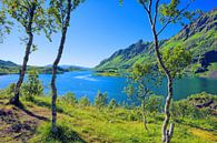 Blick auf den Ytterfjorden in Norwegen van Gisela Scheffbuch thumbnail