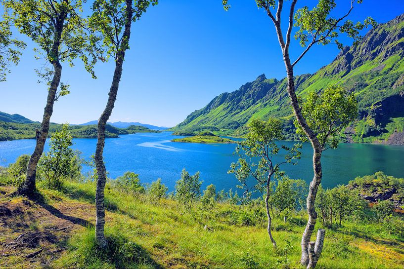 Blick auf den Ytterfjorden in Norwegen van Gisela Scheffbuch