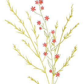 Blüten im Minimalismus als Triptychon 1 v. 3 von AidasignArt