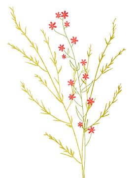 Blüten im Minimalismus als Triptychon 1 v. 3 von AidasignArt