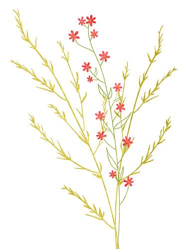 Bloemen in minimalisme als drieluik 1 van 3