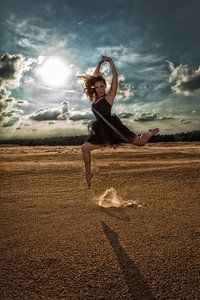 Ballerina Sprong van Chau Nguyen