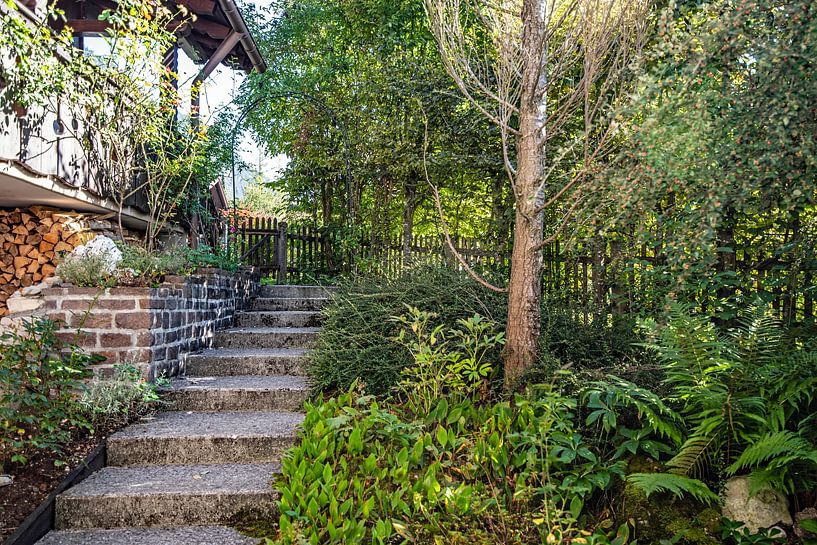 Mein schöner Garten von Thomas Riess