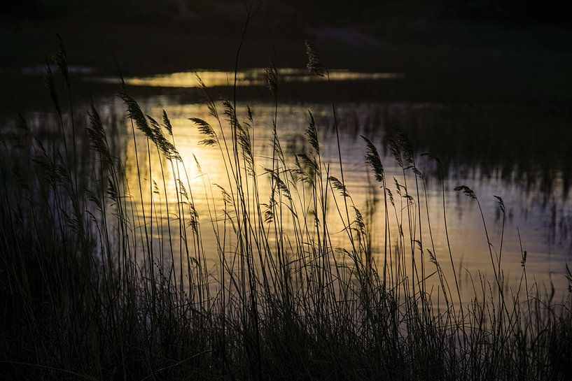 The last light by Dirk van Egmond