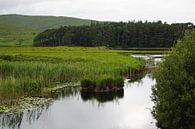 Glenveagh National Park ligt in County Donegal, Ierland. van Babetts Bildergalerie thumbnail
