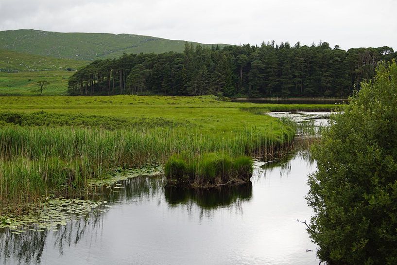 Glenveagh National Park ligt in County Donegal, Ierland. van Babetts Bildergalerie