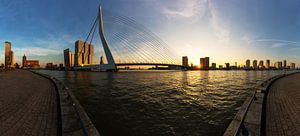 Rotterdam Skyline mit Erasmusbrücke