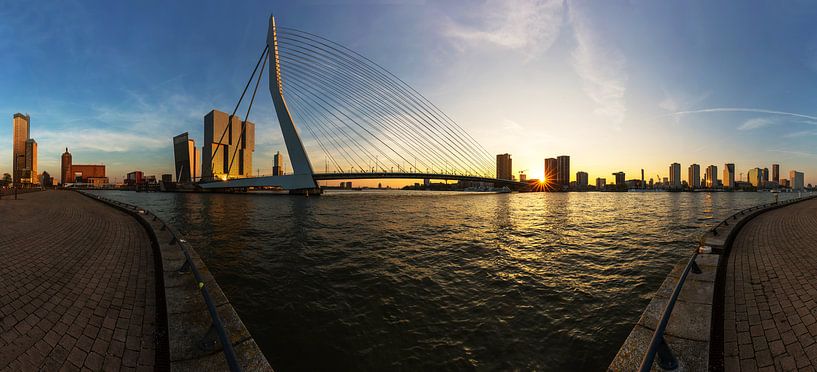 Rotterdam Skyline mit Erasmusbrücke von Frank Herrmann