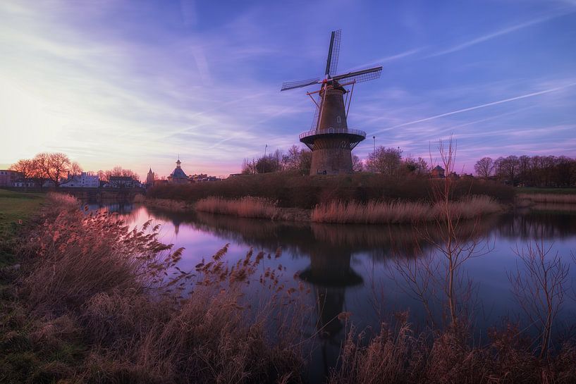 Windmill by Maikel Brands